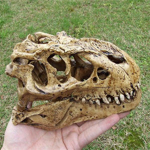 T-Rex Model Skull