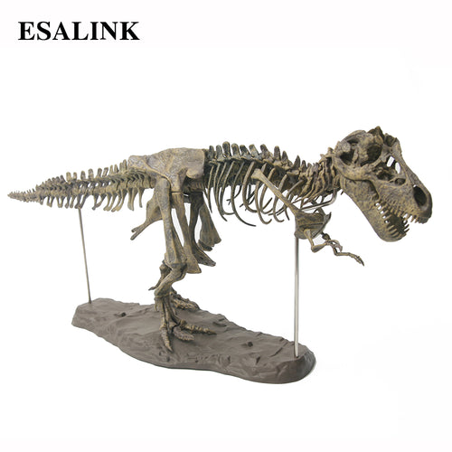 3D T-Rex Model