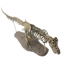 3D T-Rex Model