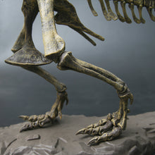 3D T-Rex Model