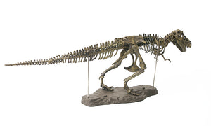 3D T-Rex Model